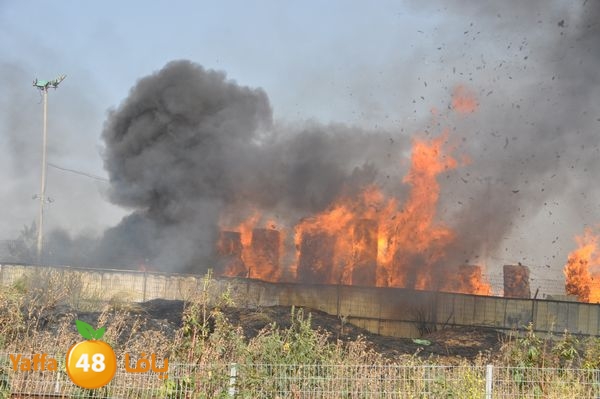 firecartoonsecnd506 (13).JPG